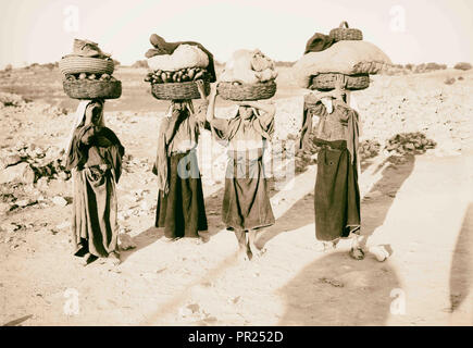 Vier palästinensischen Frauen auf dem Weg zum Markt mit Körben auf den Köpfen. 1898, im Nahen Osten, Israel und/oder Palästina Stockfoto