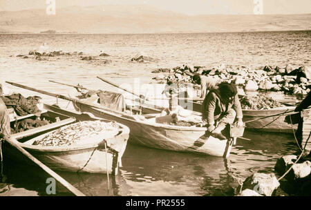 Boote auf dem See von Galiläa. 1898, im Nahen Osten, Israel und/oder Palästina Stockfoto