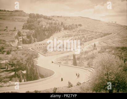 Garten Gethsemane & Pisten von Olivet mit neuen Straße. 1942, Jerusalem, Israel Stockfoto