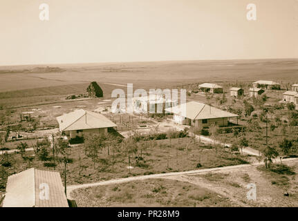 Jüdische Siedlung von Gat, in der Nähe von Ancient Gath, östlich von Gaza Road, 1941 gegründet. 1946, Israel, Gat Stockfoto