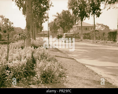 Ägypten. Kairo. Gezira Gardens & Sport. 1934, Ägypten, Kairo Stockfoto