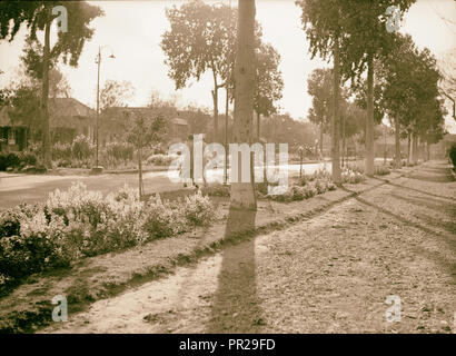 Ägypten. Kairo. Gezira Gardens & Sport. 1934, Ägypten, Kairo Stockfoto