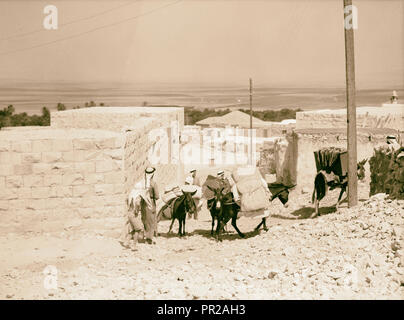 Jenin, Sept. 3, Bewohner retten ihr Haus - halten Sie Effekte, die Auswirkungen auf den Esel. 1938, West Bank, Jenin Stockfoto