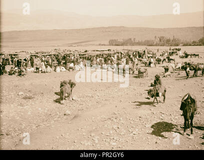 Dorf Hasbaya, Habaga (oben?) Fuß des Mt. Hermon. 1925, Libanon, Ḥaṣbayyā Stockfoto