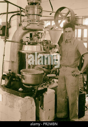 Jüdische Fabriken in Palästina auf Ebene von Sharon und entlang der Küste nach Haifa. Tel Aviv. Käserei. Int[erior]. Käse Stockfoto