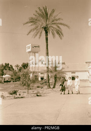 Jüdische Fabriken in Palästina auf Ebene von Sharon und entlang der Küste nach Haifa. Haifa. Der Hemen "Öl arbeitet. Haupteingang Stockfoto