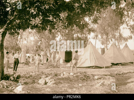 Die vintage Saison Zikh" Ron Ya'aqov, 24. Juli 1939. 1939, Israel, sichron Yaʻaḳov Stockfoto