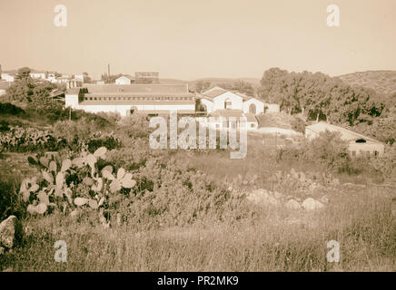 Die vintage Saison Zikh" Ron Ya'aqov, 24. Juli 1939. 1939, Israel, sichron Yaʻaḳov Stockfoto