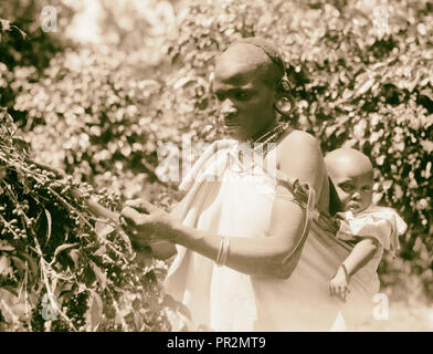 Plantagen in Kenia Kolonie. Native Frau Kommissionierung Kaffee mit Baby auf dem Rücken. Close Up. 1936, Kenia Stockfoto