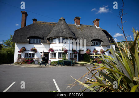 Denkmalgeschützte Public House vernacular Revival Stil malerischen Reetdach Country Pub Blutungen Wolf im Scholar Green, Cheshire Robinsons Brew Stockfoto