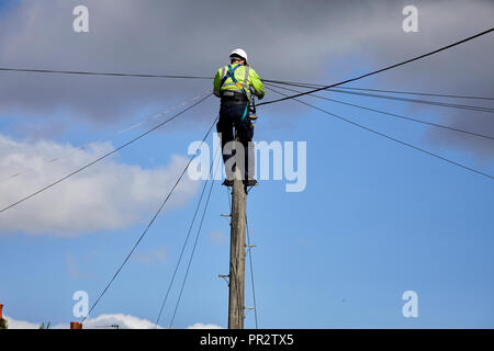 Fremdfirmen telecome Ingenieur von Kelly Communications klettern einen Telefonmast eine Telefonleitung, die Subunternehmer für BT Openreach in Ma zu beheben Stockfoto