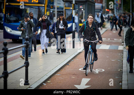 Manchester Oxford Road Radweg und busspur an der Universität. Stockfoto