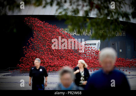 IWMN Wave cascade mehrere Tausend handgefertigte Keramik Mohnblumen Skulpturen des Künstlers Paul Cummins und Designer Tom Piper im Imperial War Museum North Stockfoto