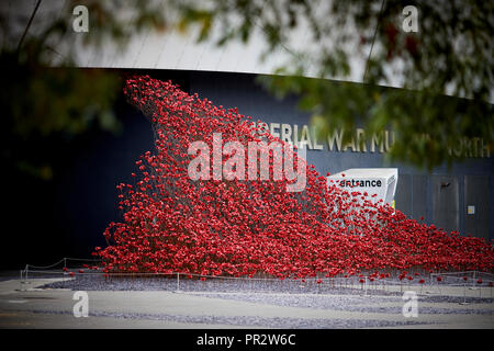 IWMN Wave cascade mehrere Tausend handgefertigte Keramik Mohnblumen Skulpturen des Künstlers Paul Cummins und Designer Tom Piper im Imperial War Museum North Stockfoto