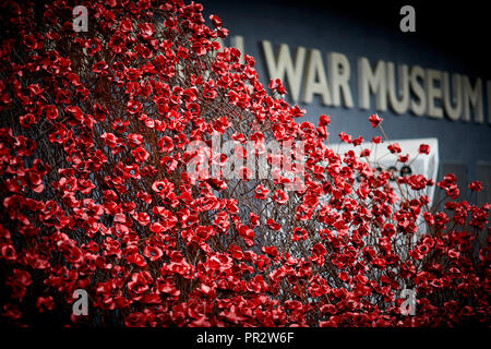 IWMN Wave cascade mehrere Tausend handgefertigte Keramik Mohnblumen Skulpturen des Künstlers Paul Cummins und Designer Tom Piper im Imperial War Museum North Stockfoto