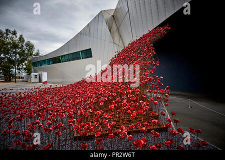 IWMN Wave cascade mehrere Tausend handgefertigte Keramik Mohnblumen Skulpturen des Künstlers Paul Cummins und Designer Tom Piper im Imperial War Museum North Stockfoto