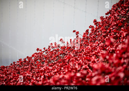 IWMN Wave cascade mehrere Tausend handgefertigte Keramik Mohnblumen Skulpturen des Künstlers Paul Cummins und Designer Tom Piper im Imperial War Museum North Stockfoto