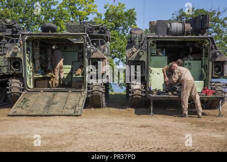 CAMP ÄSCHE, Michigan - USA Marines mit Bravo Company, 4. Amphibisches Battalion, 4th Marine Division, Marine Reserve, Arbeiten an Amphibisches Fahrzeuge am Lager Äsche, Michigan, während der übung Northern Strike 2017, 31. Juli 2017. Northern Strike 2017 brachte Finden Marine aus dem ganzen Land realistische kombinierte Waffen Schulungen ein Spektrum von kampfszenarien zu decken. Stockfoto