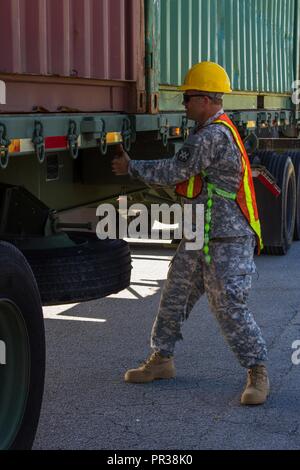 Us-Armee finden Sgt. Dean Steven, ein Fachmann mit der 1182Nd Bereitstellung und Distribution Support Bataillons, sichert einen Frachtcontainer auf ein M-878 Lkw im Rahmen der Operation Trans Mariner 17 in Military Ocean Terminal Sunny Punkt, N.C., 30. Juli 2017. Während der Operation, Armee finden Transport Spezialisten erleichtern die Übertragung von Zubehör und Munition für Einheiten, die in der ganzen Welt. Stockfoto