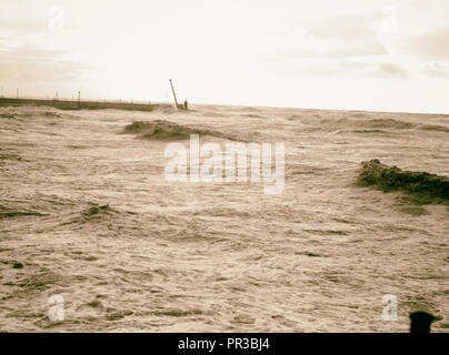 Offizielle Eröffnung des Tel Aviv Port. Die Mole in Tel Aviv, Israel, Tel Aviv Stockfoto