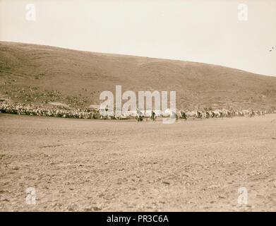 Prinz Saud Emir besuchen zu Emir Abdullah in Amman, Transjordanien. Bei der Überprüfung, gen [allgemeinen] anzeigen. 1935, Jordanien, Amman Stockfoto