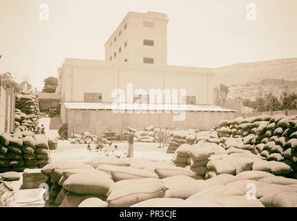 Arabische Fabriken und allgemeine Verbesserungen in Nablus, die naameh Flour Mills Ltd. eine allgemeine Ansicht von Westen zeigen große Stapel von Stockfoto