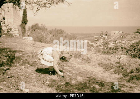Tripolis. Familie Filme, die Dechards. 1946, Libanon Stockfoto