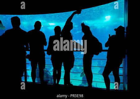 Lissabon, Portugal - 04. Juli 2016: Die dunklen Silhouetten der Besucher in der Hintergrundbeleuchtung der Unterwasserwelt des Haupttanks der Lissabonner Ozeanarium. Por Stockfoto