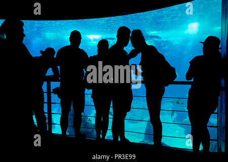 Lissabon, Portugal - 04. Juli 2016: Die dunklen Silhouetten der Besucher in der Hintergrundbeleuchtung der Unterwasserwelt des Haupttanks der Lissabonner Ozeanarium. Por Stockfoto