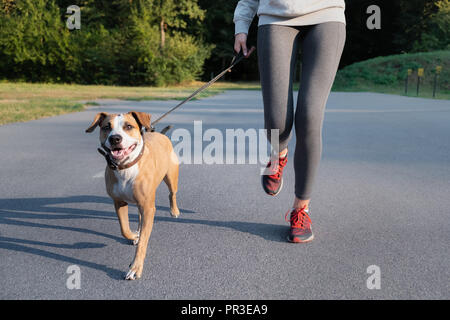 Frau in laufen Anzug Jogging mit Ihrem Hund. Junge Passform weiblichen und Staffordshire Terrier Hund tun Morgen Spaziergang in einem Park Stockfoto