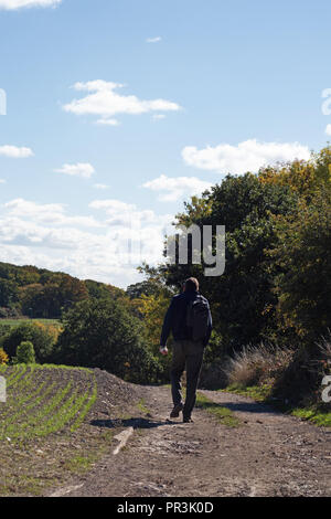 Single Mann weg von der Kamera auf den Pennine Way, auf einem sonnigen Sommertag in der Nähe von Wortley, South Yorkshire, England Stockfoto