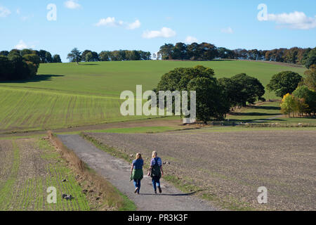 2 weibliche Wanderer zu Fuß auf den Pennine Way, auf einem sonnigen Sommertag in der Nähe von Wortley, South Yorkshire, England Stockfoto