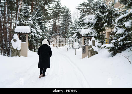 Mädchen in schwarzen Mantel Wandern im Schnee Wald, Travel Concept Stockfoto