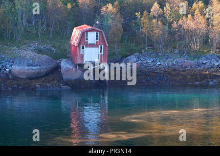 Die traditionell mit Holz Rot lackiert Norwegian Fishermen's Shack (Rorbu oder Rorbuer) An den Ufern Des Raftsund (Raftsundet), Auf der Insel Austvågøy. Stockfoto