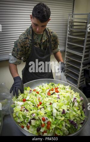 Us Marine Corps Cpl. David F. Hage mit Combat Logistik Bataillon 6, Camp Lejeune, N.C., beteiligt sich an einer Community Outreach Programm während der Woche Charlotte, N.C., Sept. 7, 2018. Marine Woche Charlotte ist eine Gelegenheit, mit den Menschen in der Gegend von Charlotte zu verbinden, und danken Ihnen für Ihre Unterstützung. Stockfoto