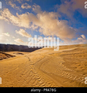 Te Paki Giant Sand Dünen, Northland, Neuseeland. Stockfoto