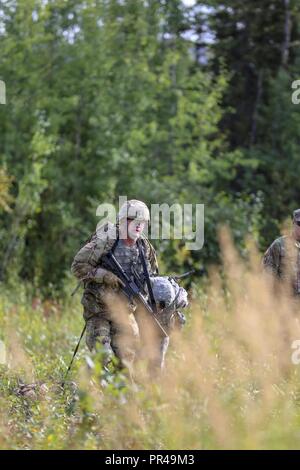 Alaska Army Guard Staff Sgt. Joshua Austin, 297Th Military Police Company, schleppt ein 170-lbs-Dummy in einem Skedco, simulieren einen Unfall, Evakuierung, während der 2019 Alaska Army National Guard besten Krieger Wettbewerb auf gemeinsamer Basis Elmendorf-Richardson, Sept. 6, 2018. Die besten Krieger Wettbewerb soll Soldaten in einer Reihe von geistig und körperlich anspruchsvolle Events im Laufe von 72 Stunden zu bestimmen, wer die beste Junior angeworben und noncommissioned Officer in der Alaska Army National Guard zu testen. Die Gewinner werden auf Weiter Alaska im Nordwesten Regionale beste Warrio zu vertreten Stockfoto