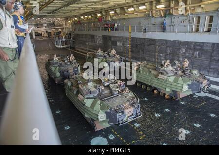 Golf von Aden (Sept. 10, 2018) Angriff Amphibienfahrzeuge (AAV) zu Bataillon Landung Team 3/1 Kilo Unternehmen AAV Platoon, Vorbereiten zum Verlassen des gut Deck von San Antonio - Klasse amphibious Transport dock Schiff USS Anchorage LPD (23), während der Teilnahme an Theater amphibischen bekämpfen Probe (TACR) 18. Geführt von Naval Amphibious Force, Task Force 51/5 th Marine Expeditionary Brigade, TACR integriert die US Navy und Marine Corps Vermögenswerte zu üben und eine Reihe von kritischen bekämpfen - ähnliche Funktionen für US Central Command, sowohl über Wasser und an Land, Stabilität und Sicherheit zu fördern Proben Stockfoto