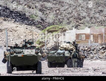 Dschibuti (Sept. 8, 2018) US-Marines 13 Marine Expeditionary Unit transit zugeordnet den Strand auf Leichte gepanzerte Fahrzeuge während der Teilnahme an Theater amphibischen bekämpfen Probe (TACR) 18. Geführt von Naval Amphibious Force, Task Force 51/5 th Marine Expeditionary Expedition Brücke, TACR integriert die US Navy und Marine Corps Vermögenswerte zu üben und eine Reihe von kritischen bekämpfen - ähnliche Funktionen für US Central Command, sowohl über Wasser und an Land, Stabilität und Sicherheit in der Region zu fördern. 5. US-Flotte und Koalition sind die Teilnahme an zahlreichen gleichzeitigen exerci Stockfoto