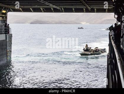 Golf von Aden (Sept. 10, 2018) Angriff Amphibienfahrzeug (AAV) zu Bataillon Landung Team 3/1 angeschlossen sind, bereiten Sie die gut Deck von San Antonio zu begeben - Klasse amphibious Transport dock Schiff USS Anchorage LPD (23) Während der Teilnahme an Theater amphibischen bekämpfen Probe (TACR) 18. Geführt von Naval Amphibious Force, Task Force 51/5 th Marine Expeditionary Brigade, TACR integriert die US Navy und Marine Corps Vermögenswerte zu üben und eine Reihe von kritischen bekämpfen - ähnliche Funktionen für US Central Command, sowohl über Wasser und an Land, Stabilität und Sicherheit in der Region zu fördern. Usa 5 F Stockfoto