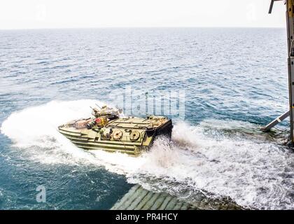 Golf von Aden (Sept. 10, 2018) ein Angriff Amphibienfahrzeug (AAV) zu Bataillon Landung Team 3/1 angehängte fährt das Deck von San Antonio - Klasse amphibious Transport dock Schiff USS Anchorage LPD (23) Während der Teilnahme an Theater amphibischen bekämpfen Probe (TACR) 18. Geführt von Naval Amphibious Force, Task Force 51/5 th Marine Expeditionary Brigade, TACR integriert die US Navy und Marine Corps Vermögenswerte zu üben und eine Reihe von kritischen bekämpfen - ähnliche Funktionen für US Central Command, sowohl über Wasser und an Land, Stabilität und Sicherheit in der Region zu fördern. Us-Flotte und 5. Stockfoto