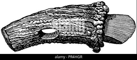 Geschliffene Steinaxt aus Belgien, in Hirschhorn, 1874 eingestellt Stockfoto