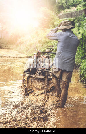 Reisanbau, pflügen Reisfeld mit Traktor so genannte Bügeleisen Büffel in Indien Stockfoto