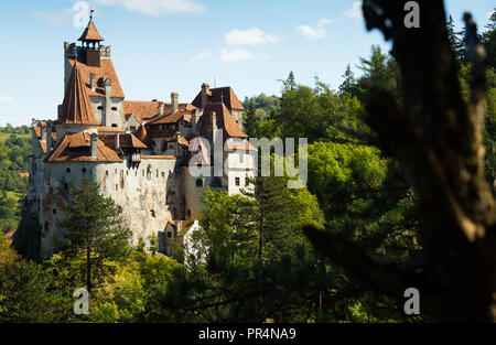 Schloss Bran als Draculas Schloss, Brasov, Rumänien bekannt Stockfoto