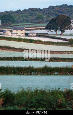 Flintshire, North Wales, September 2018. UK Wetter: Ein frostiger klar Start in den Tag in ländlichen Flintshire. Ein Bauernhaus von gefrorenen Feldern umgeben wie die Sonne beginnt das Land bei Sonnenaufgang, Rhes-y-zu erwärmen, CAE, Flintshire, Wales Stockfoto