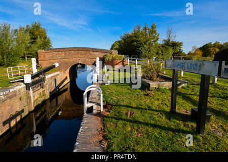 Hedging, Somerset, UK. 29. September 2018. UK Wetter. Höhere Sperre auf dem Kanal in der Nähe von Bridgwater und Taunton Hedging in Somerset an einem Tag Sonnenschein und blauem Himmel. Foto: Graham Jagd-/Alamy leben Nachrichten Stockfoto