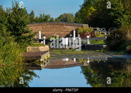 Hedging, Somerset, UK. 29. September 2018. UK Wetter. Höhere Sperre auf dem Kanal in der Nähe von Bridgwater und Taunton Hedging in Somerset an einem Tag Sonnenschein und blauem Himmel. Foto: Graham Jagd-/Alamy leben Nachrichten Stockfoto