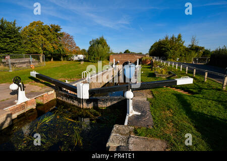 Hedging, Somerset, UK. 29. September 2018. UK Wetter. Höhere Sperre auf dem Kanal in der Nähe von Bridgwater und Taunton Hedging in Somerset an einem Tag Sonnenschein und blauem Himmel. Foto: Graham Jagd-/Alamy leben Nachrichten Stockfoto