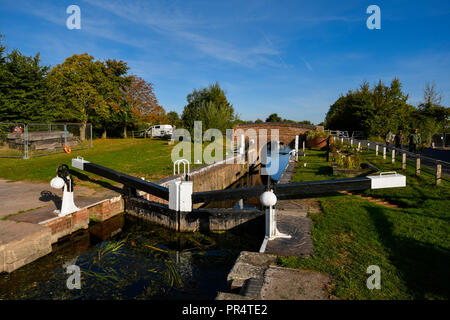 Hedging, Somerset, UK. 29. September 2018. UK Wetter. Höhere Sperre auf dem Kanal in der Nähe von Bridgwater und Taunton Hedging in Somerset an einem Tag Sonnenschein und blauem Himmel. Foto: Graham Jagd-/Alamy leben Nachrichten Stockfoto