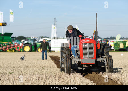 Wenig Carlton, Nottinghamshire, UK: 29. September 2018: Southwell pflügen Match ist der grösste landwirtschaftliche eines Tages zeigen in Nottinghamshire, im Jahre 1855 gegründet und wird von einem Ausschuss, bestehend aus lokalen Geschäftsleuten und ländliche Enthusiasten. Die jährliche Messe ist an einem anderen Schauplatz jedes Jahr statt mit 2018 kleinen Carlton gehalten wird. Credit: Ian Francis/Alamy leben Nachrichten Stockfoto